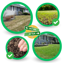 Load image into Gallery viewer, Green Grass Seed Mat for Quick Lawn Repair and Moisture Retention