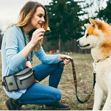 Load image into Gallery viewer, Dog Treat Bag For Training And Walks With Storage Pockets
