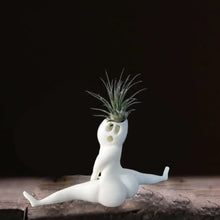 Load image into Gallery viewer, Spooky Shape Air Plant Display - SpookyBuddy-Nora Luxe