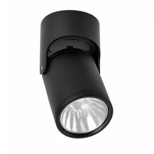 Load image into Gallery viewer, LED Directional Spot Light Metal Fixture