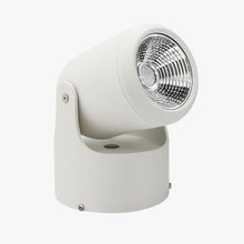 Load image into Gallery viewer, LED Directional Spot Light Metal Fixture