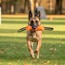 Load image into Gallery viewer, Dog Tug Toy, Training Tug for Obedience and Energy Control
