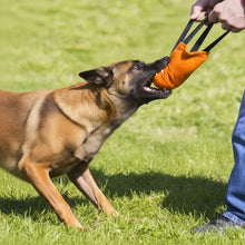 Load image into Gallery viewer, Dog Tug Toy, Training Tug for Obedience and Energy Control