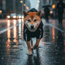 Load image into Gallery viewer, Dog Hoodie Jacket, Warm Fleece Lining and Waterproof Fabric
