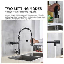 Load image into Gallery viewer, Matte Black Kitchen Faucet Sink Single Handle Pull Down Sprayer - Zoolase