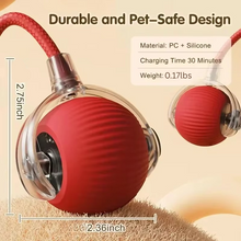 Load image into Gallery viewer, Rechargeable Automatic Cat Ball Toy with Dynamic Tail
