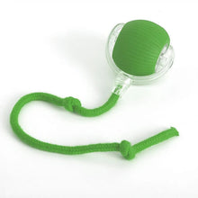 Load image into Gallery viewer, Interactive Rolling Ball with Tail Attachment for Dogs
