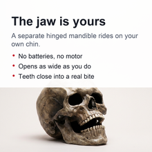 Load image into Gallery viewer, Movable Jaw Skull Mask with Full Head Latex Shell for Adult Halloween Costumes
