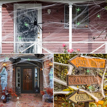 Load image into Gallery viewer, Stretch Spider Web Decoration with Glowing and Black Fake Spiders
