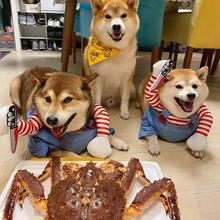 Load image into Gallery viewer, Chucky-Inspired Pet Costume for Dogs and Cats
