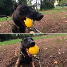 Load image into Gallery viewer, Floating Dog Ball, Water Play Rubber Toy
