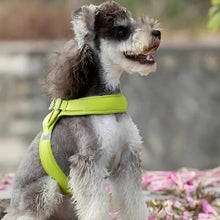 Load image into Gallery viewer, Small Dog Harness, Lightweight Adjustable Easy-On Design
