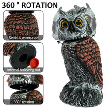 Load image into Gallery viewer, Realistic 2-Pack Owl Decoy with Rotating Head – Outdoor Bird &amp; Pest Repellent
