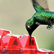 Load image into Gallery viewer, Ant-Proof Hummingbird Feeder with 30 Bee-Resistant Ports
