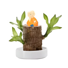 Load image into Gallery viewer, Lucky Brazilian Wood Plant
