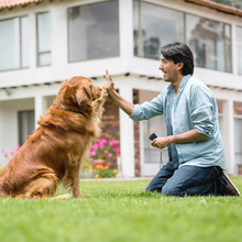 Load image into Gallery viewer, Anti Barking Device | Ultrasonic Stop Dog Barking Device
