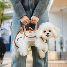 Load image into Gallery viewer, Multi-Function Pet Harness and Carrier Backpack for Small Dogs and Cats
