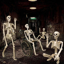 Load image into Gallery viewer, Life Size Halloween Skeleton Decoration with Adjustable Joints

