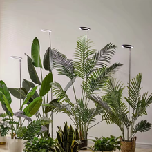 Load image into Gallery viewer, Full Spectrum Ring Grow Light with Adjustable Brightness and Telescoping Stand
