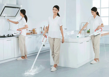 Load image into Gallery viewer, 5-in-1 Steam Cleaner
