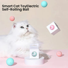 Load image into Gallery viewer, 2 in 1 Simulated Interactive Hunting Cat Toy
