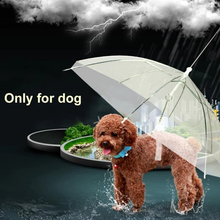 Load image into Gallery viewer, Transparent Dog Umbrella
