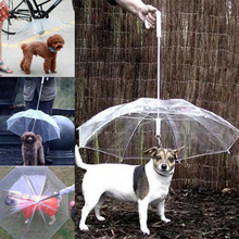Load image into Gallery viewer, Transparent Dog Umbrella
