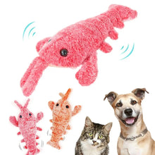 Load image into Gallery viewer, Interactive Floppy Lobster Cat and Dog Toy
