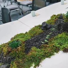 Load image into Gallery viewer, Artificial Moss for Planters and Home Decor
