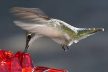 Load image into Gallery viewer, Ant Proof Hummingbird Feeder Outdoor Hanging Perch

