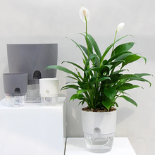 Load image into Gallery viewer, Self Watering Planter

