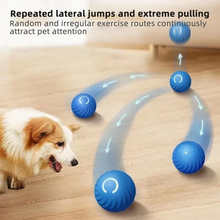 Load image into Gallery viewer, Active Rolling Ball Anti-Anxiety Automatic Moving Ball
