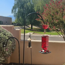 Load image into Gallery viewer, Glass Hummingbird Feeder with Six Flower Ports and Ant Moat, 24oz Capacity
