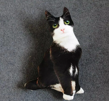 Load image into Gallery viewer, Realistic Cat Cushion
