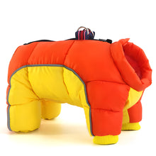 Load image into Gallery viewer, Water-Resistant Dog Parka &amp; Coat
