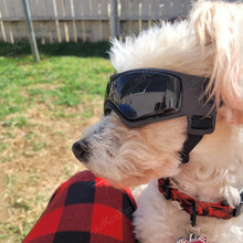 Load image into Gallery viewer, Adjustable Dog Goggles for Small and Medium Breeds
