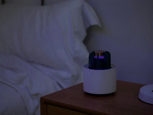 Load image into Gallery viewer, Mosquito Cactus Lamp
