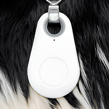 Load image into Gallery viewer, Pets Smart Waterproof GPS Tracker
