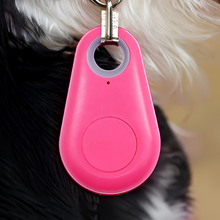 Load image into Gallery viewer, Pets Smart Waterproof GPS Tracker
