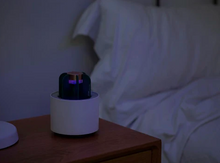Load image into Gallery viewer, Mosquito Cactus Lamp
