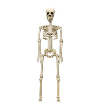 Load image into Gallery viewer, Life Size Halloween Skeleton Decoration with Adjustable Joints
