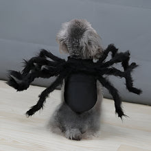 Load image into Gallery viewer, Pet Funny Spider Costume
