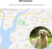 Load image into Gallery viewer, Smart GPS Pet Collar with Real-Time Tracking, Geo-Fence Alerts &amp; Sleep Mode for Cats and Dogs
