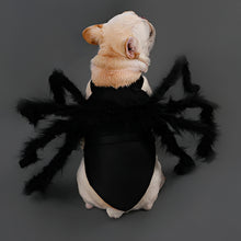 Load image into Gallery viewer, Pet Funny Spider Costume
