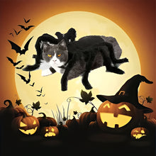 Load image into Gallery viewer, Pet Funny Spider Costume
