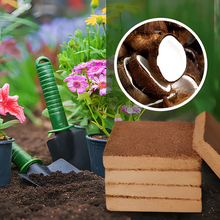 Load image into Gallery viewer, Organic Coconut Coir For Plants
