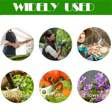 Load image into Gallery viewer, Professional Garden Shears for Fruit Trees and Vegetables
