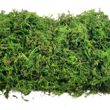 Load image into Gallery viewer, Artificial Moss for Planters and Home Decor
