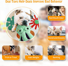 Load image into Gallery viewer, Squeaky Plush Dog Toy – Soft, Durable Companion for All Dog Sizes
