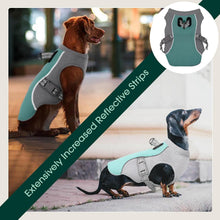 Load image into Gallery viewer, Summer Reflective Dog Cooling Vest &amp; Quick-Release Harness
